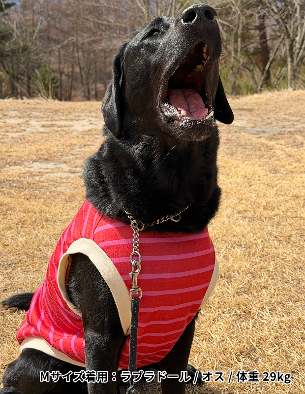 くすみレッド×ピンクボーダータンク