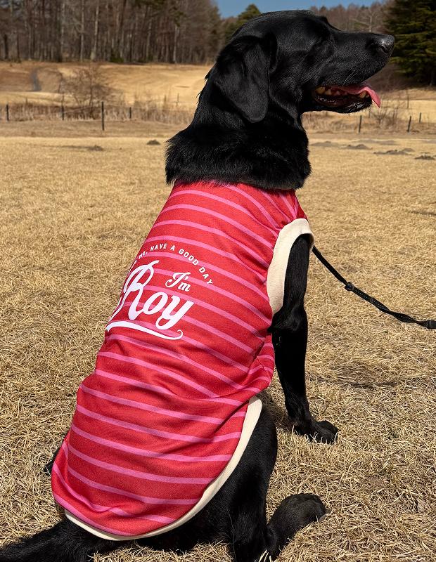 くすみレッド×ピンクボーダータンク